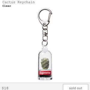 SUPREME CACTUS KEYCHAIN